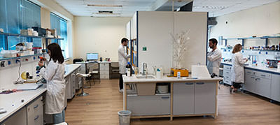 Gerry Rassias Group Lab