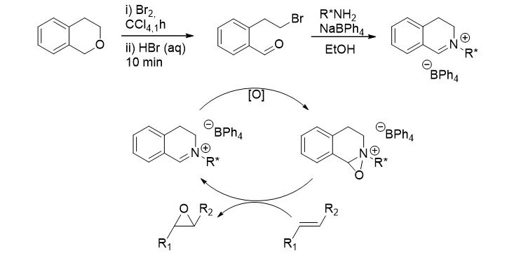 A New System for Catalytic Asymmetric Epoxidation Using Iminium Salt Catalysts
