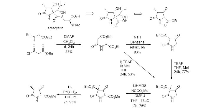 Short and Versatile Route to a Key Intermediate for Lactacystin Synthesis