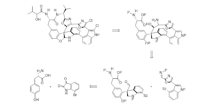 The Second Total Synthesis of Diazonamide A