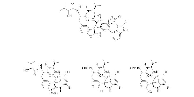 Chemistry and Biology of Diazonamide A: Second Total Synthesis and Biological Investigations