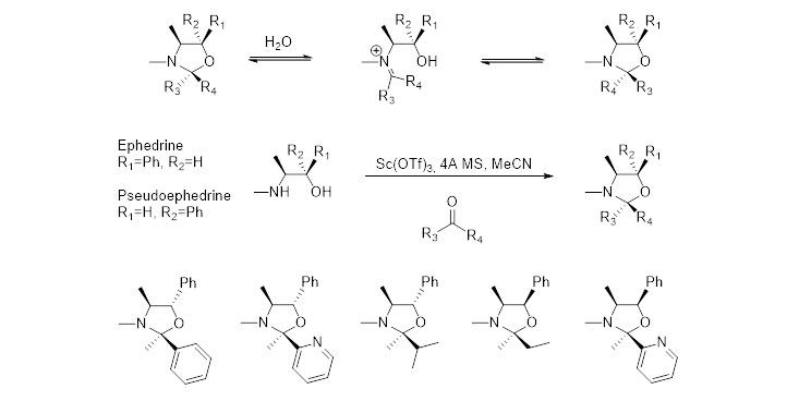 The Highly Diastereoselective Synthesis of Oxazolidines Derived from Ketones and Pseudoephedrine or Ephedrine.