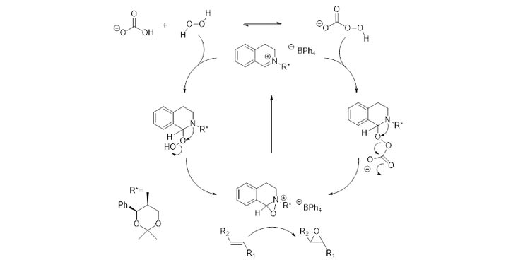 Iminium Salt-Catalysed Asymmetric Epoxidation using Hydrogen Peroxide as Stoichiometric Oxidant.