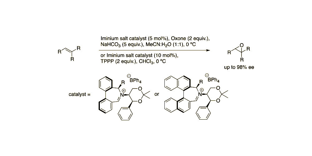 Asymmetric Epoxidation Using Iminium Salt Organocatalysts Featuring Dynamically Controlled Atropoisomerism