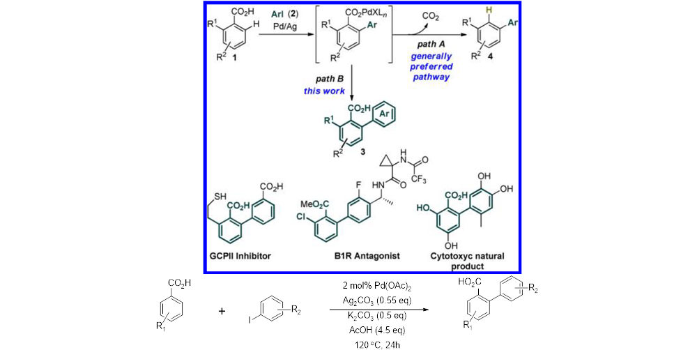 Direct ortho-Arylation of ortho-Substituted Benzoic Acids: Overriding Pd-Catalyzed Protodecarboxylation
