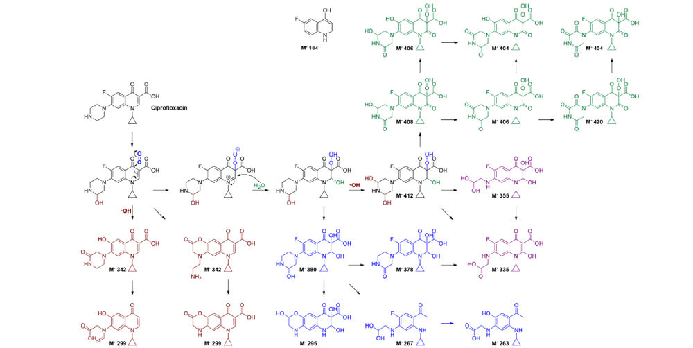 Remediation of ciprofloxacin-contaminated soil by nanosecond pulsed dielectric barrier discharge plasma: Influencing factors and degradation mechanisms