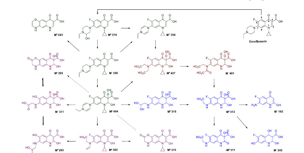 Degradation of antibiotic enrofloxacin in water by gas-liquid nsp-DBD plasma: Parametric analysis, effect of H2O2 and CaO2 additives and exploration of degradation mechanisms