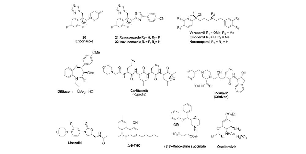 Epoxide Syntheses and Ring-Opening Reactions in Drug Development