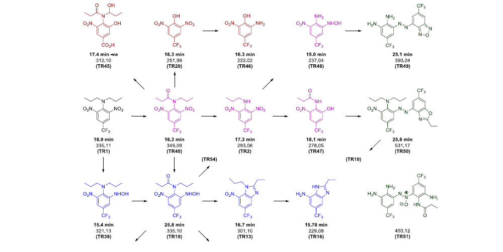 Novel combination of high voltage nanopulses and in-soil generated plasma micro-discharges applied for the highly efficient degradation of trifluralin