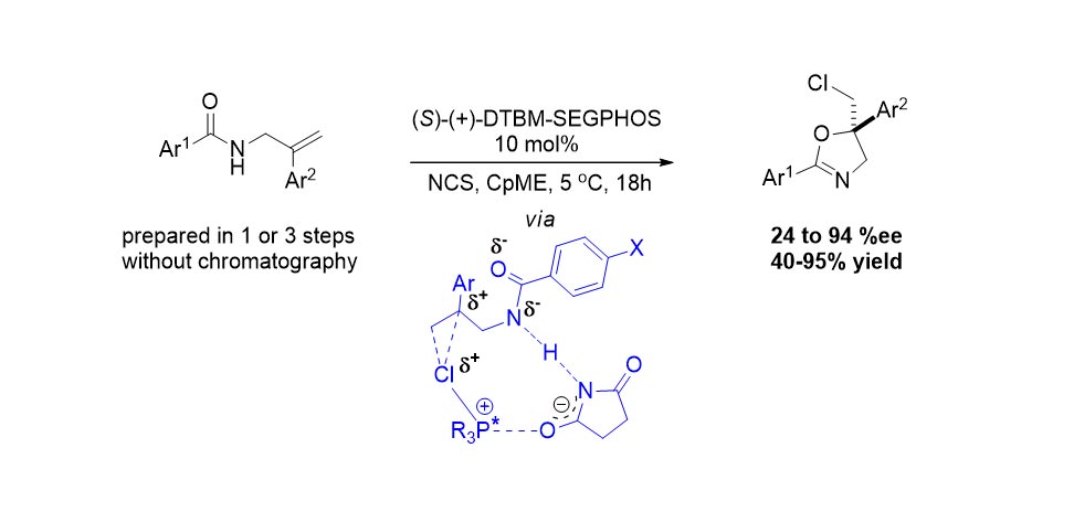 Organocatalytic Asymmetric Halocyclization of Allylic Amides to Chiral Oxazolines Using DTBM-SEGPHOS—Mechanistic Implications from Hammett Plots