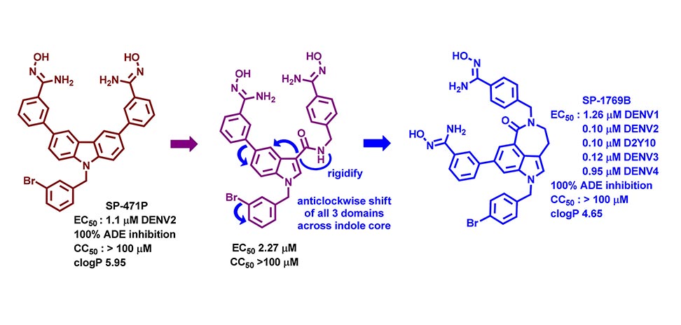 Carbazole to indolazepinone scaffold morphing leads to potent cell-active dengue antivirals