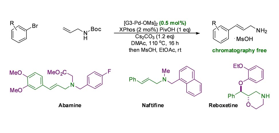 Scalable Synthesis of Cinnamylamines Via the Heck Reaction: Application in the Synthesis of Abamine, Naftifine and Reboxetine