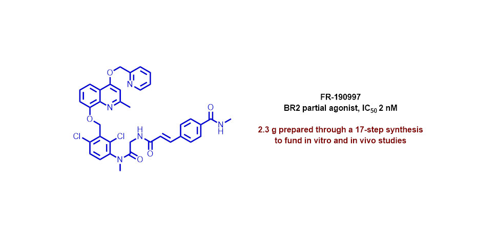 Study of the effect of bradykinin B2 receptor activation, in the management of hypercholesterolemia and cardiovascular risk