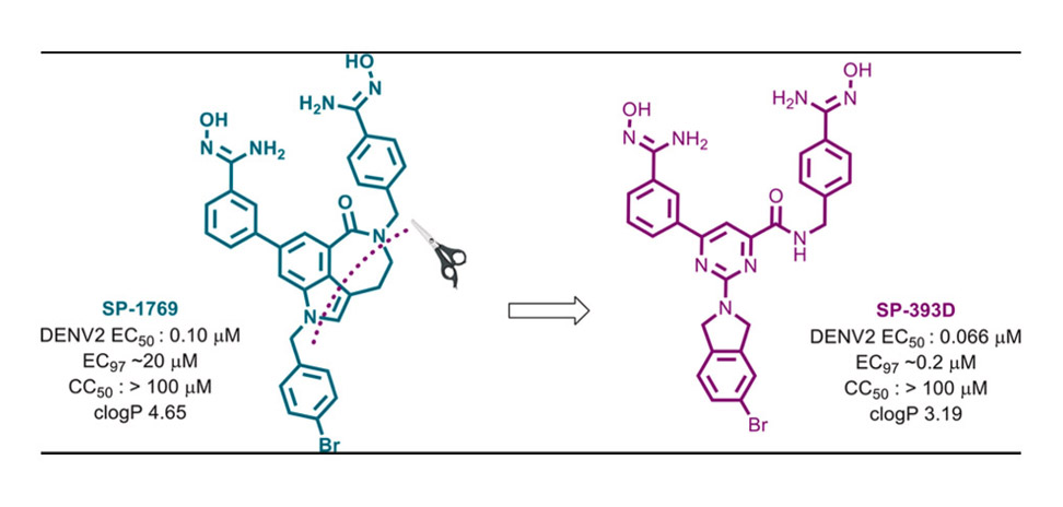 Design and synthesis of substituted pyrimidines with potent antiviral activity against dengue