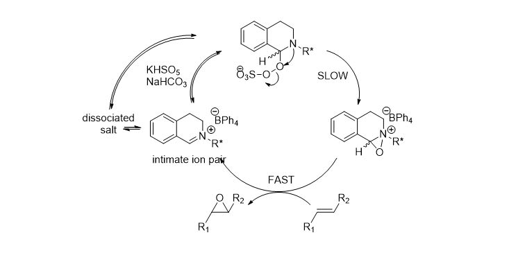 Dihydroisoquinolinium salts: catalysts for asymmetric epoxidation